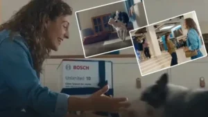 Normatif kuşatma: Bir reklam, bir köpek ve daralan kamusal alan