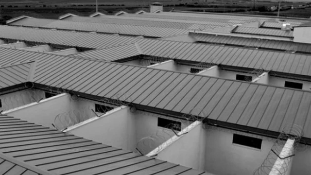 Annem, Pepuk Kuşu, Alona’da yılbaşı