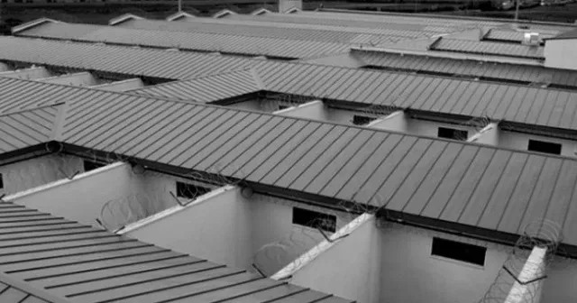 Annem, Pepuk Kuşu, Alona’da yılbaşı