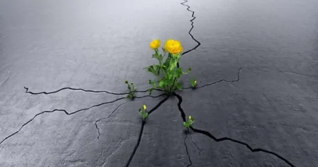 Umut ne zamandan beri günah?