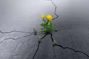 Umut ne zamandan beri günah?