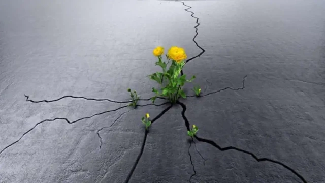 Umut ne zamandan beri günah?