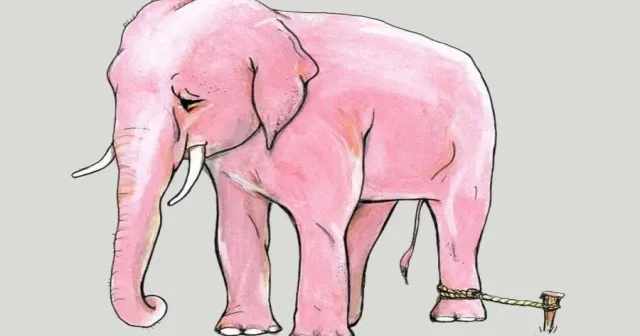 Öğrenilmiş çaresizlik