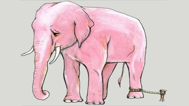 Öğrenilmiş çaresizlik