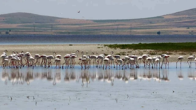 Seyfe Gölü kurumasın; Kızılırmak zehir akmasın