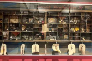 İskoçya yazıları (3): Glasgow’da resim, zaman ve yürüyüş