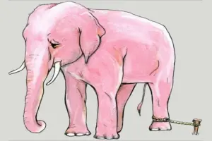 Öğrenilmiş çaresizlik