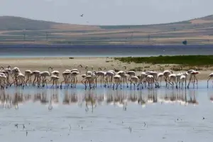 Seyfe Gölü kurumasın; Kızılırmak zehir akmasın