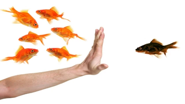 Önyargı ve ayrımcılığa ilişkisel psikanalitik bir bakış